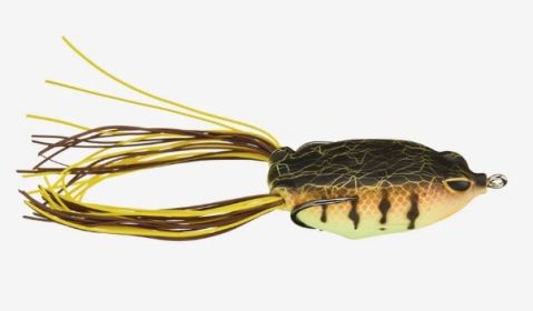 Berkley Swamp Lord Junior Hollow Body Frog 1/2 oz. 2.25in (Color: Chart Perch)